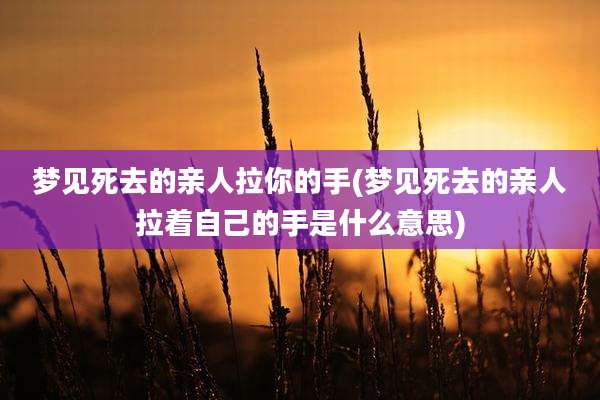 梦见死去的亲人拉你的手(梦见死去的亲人拉着自己的手是什么意思)