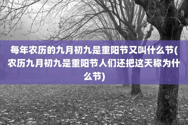 每年农历的九月初九是重阳节又叫什么节(农历九月初九是重阳节人们还把这天称为什么节)