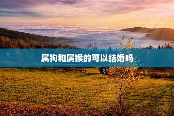 属狗和属猴的可以结婚吗