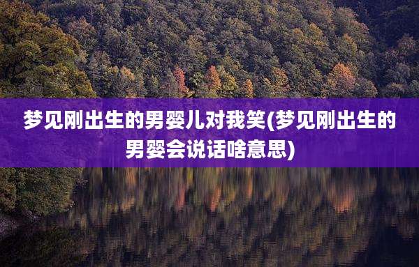 梦见刚出生的男婴儿对我笑(梦见刚出生的男婴会说话啥意思)