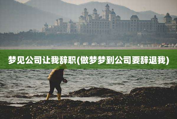 梦见公司让我辞职(做梦梦到公司要辞退我)