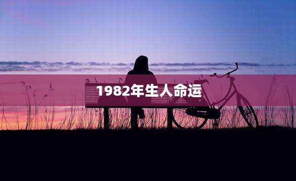 1982年生人命运