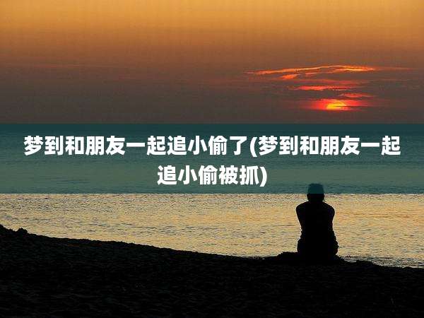 梦到和朋友一起追小偷了(梦到和朋友一起追小偷被抓)