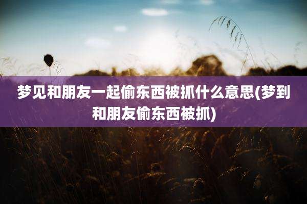 梦见和朋友一起偷东西被抓什么意思(梦到和朋友偷东西被抓)