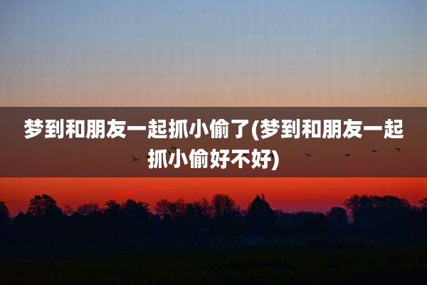 梦到和朋友一起抓小偷了(梦到和朋友一起抓小偷好不好)