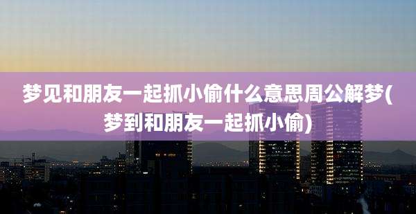 梦见和朋友一起抓小偷什么意思周公解梦(梦到和朋友一起抓小偷)