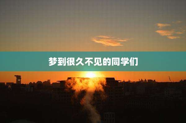 梦到很久不见的同学们