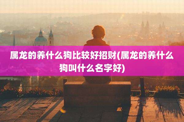 属龙的养什么狗比较好招财(属龙的养什么狗叫什么名字好)