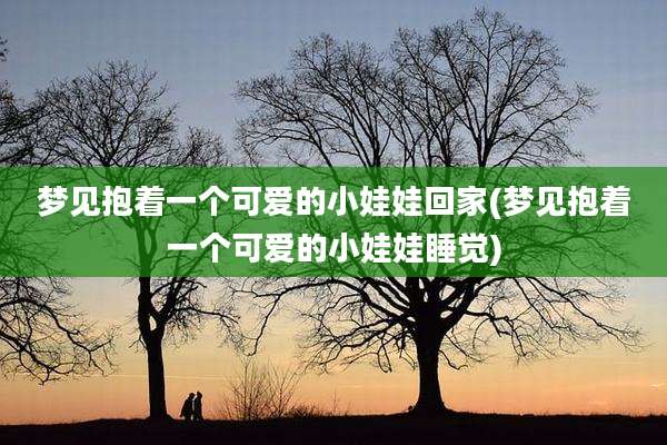 梦见抱着一个可爱的小娃娃回家(梦见抱着一个可爱的小娃娃睡觉)