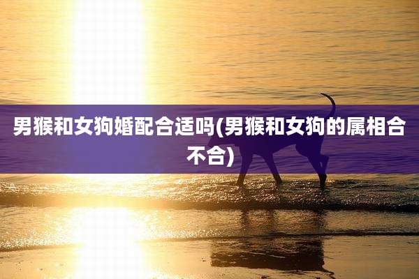 男猴和女狗婚配合适吗(男猴和女狗的属相合不合)