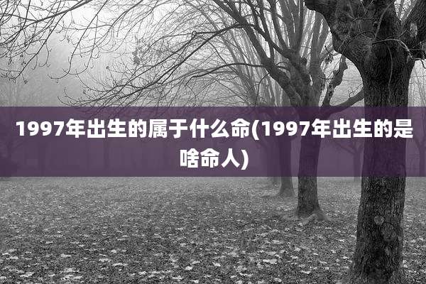 1997年出生的属于什么命(1997年出生的是啥命人)
