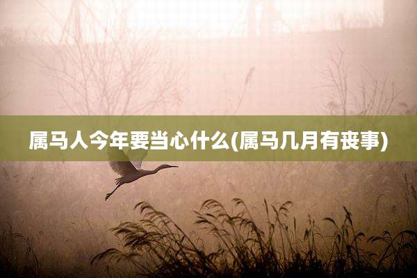 属马人今年要当心什么(属马几月有丧事)