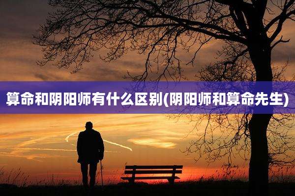 算命和阴阳师有什么区别(阴阳师和算命先生)