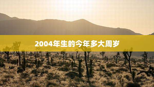 2004年生的今年多大周岁