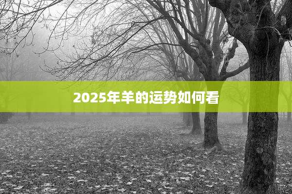 2025年羊的运势如何看