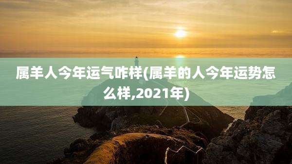 属羊人今年运气咋样(属羊的人今年运势怎么样,2021年)