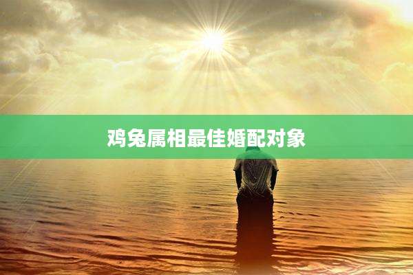 鸡兔属相最佳婚配对象