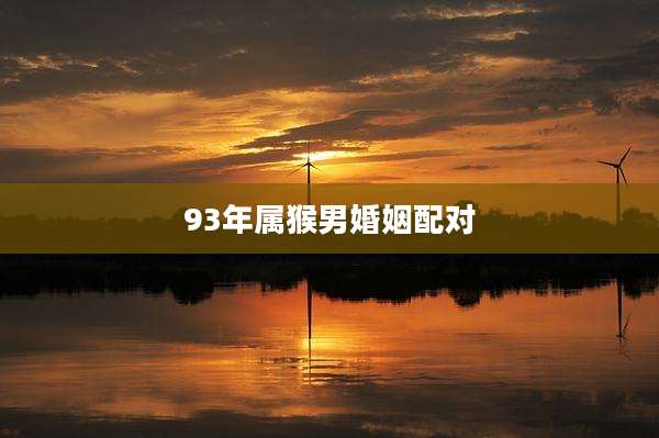 93年属猴男婚姻配对