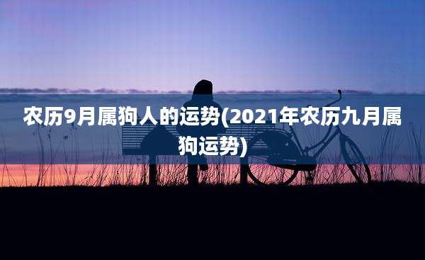 农历9月属狗人的运势(2021年农历九月属狗运势)