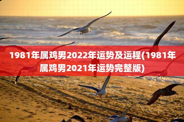 1981年属鸡男2022年运势及运程(1981年属鸡男2021年运势完整版)