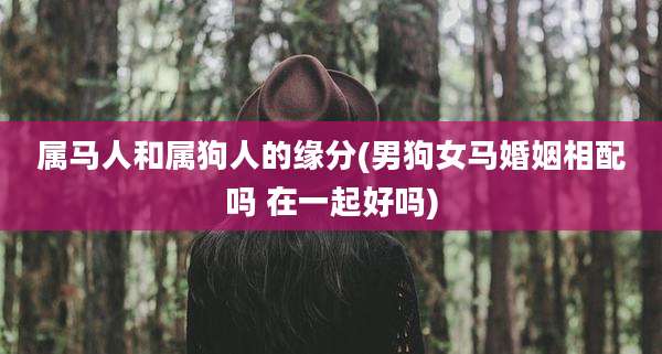 属马人和属狗人的缘分(男狗女马婚姻相配吗 在一起好吗)