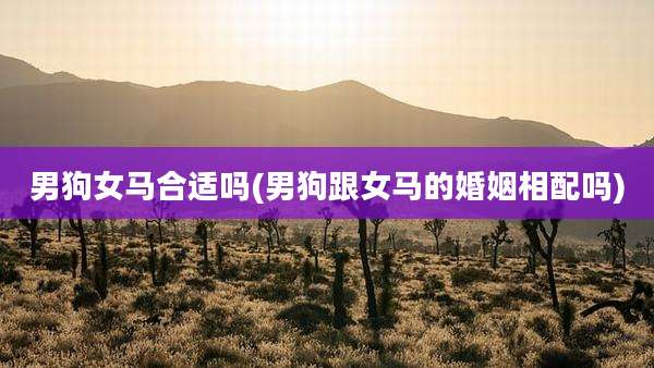 男狗女马合适吗(男狗跟女马的婚姻相配吗)