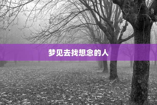 梦见去找想念的人