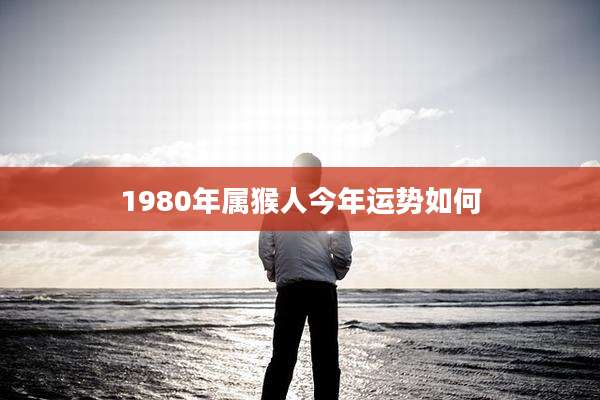 1980年属猴人今年运势如何