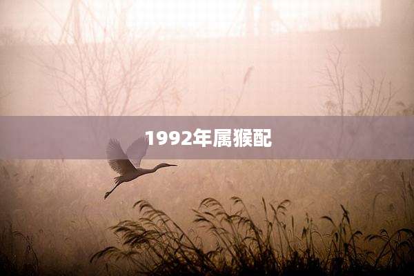 1992年属猴配