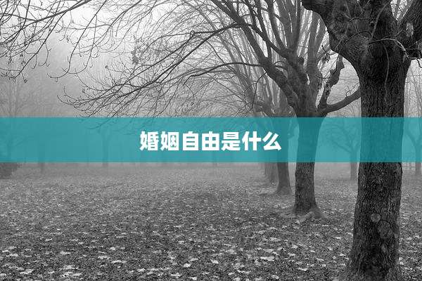婚姻自由是什么