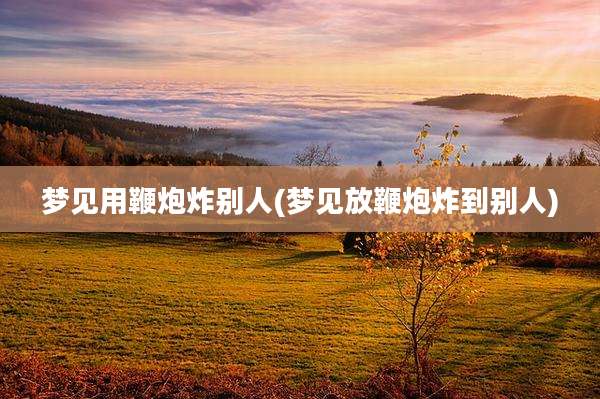 梦见用鞭炮炸别人(梦见放鞭炮炸到别人)