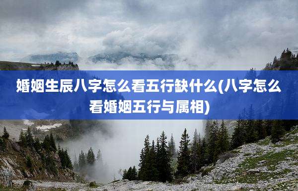 婚姻生辰八字怎么看五行缺什么(八字怎么看婚姻五行与属相)