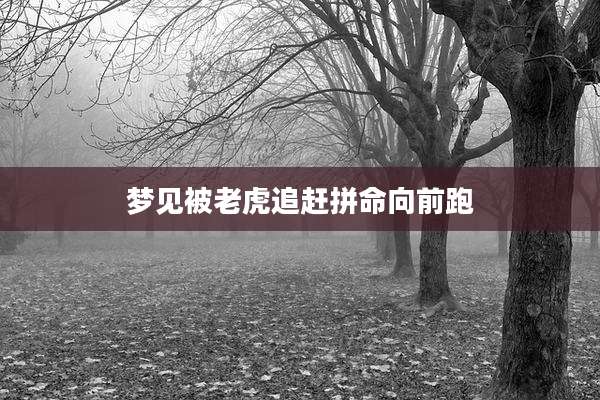 梦见被老虎追赶拼命向前跑