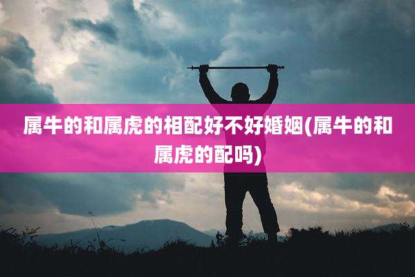 属牛的和属虎的相配好不好婚姻(属牛的和属虎的配吗)