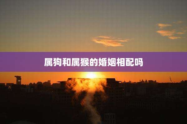 属狗和属猴的婚姻相配吗