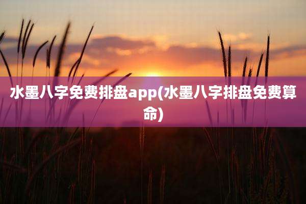 水墨八字免费排盘app(水墨八字排盘免费算命)