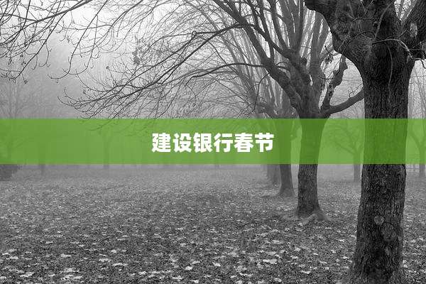建设银行春节