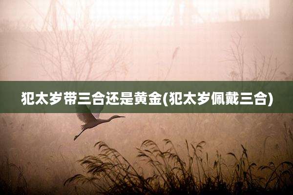 犯太岁带三合还是黄金(犯太岁佩戴三合)