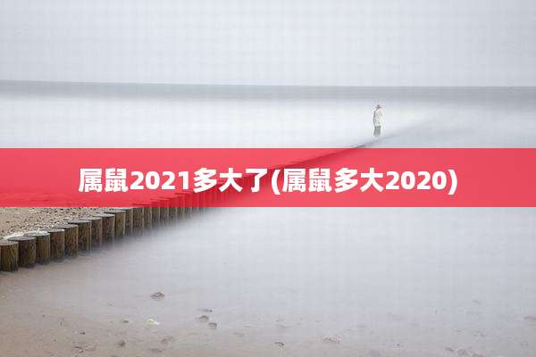 属鼠2021多大了(属鼠多大2020)