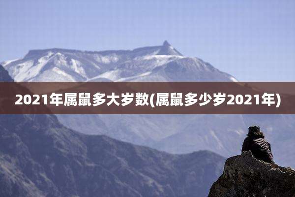 2021年属鼠多大岁数(属鼠多少岁2021年)