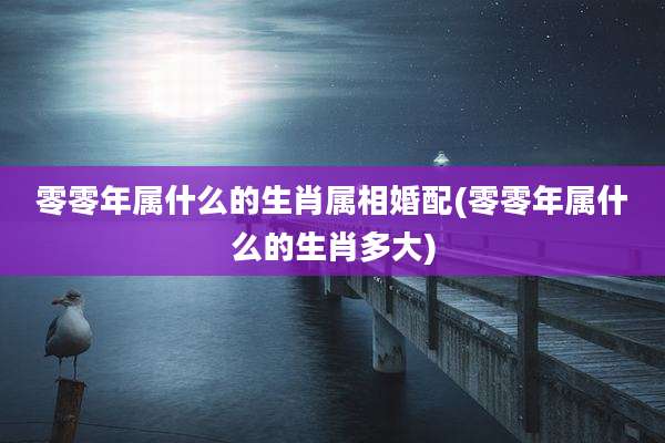 零零年属什么的生肖属相婚配(零零年属什么的生肖多大)