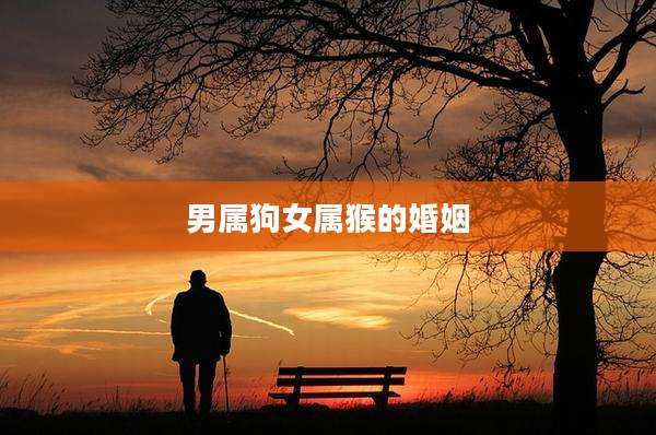 男属狗女属猴的婚姻