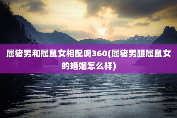 属猪男和属鼠女相配吗360(属猪男跟属鼠女的婚姻怎么样)