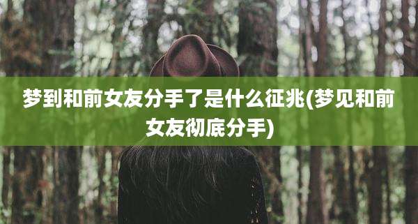 梦到和前女友分手了是什么征兆(梦见和前女友彻底分手)