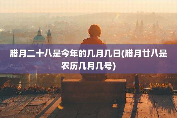 腊月二十八是今年的几月几日(腊月廿八是农历几月几号)