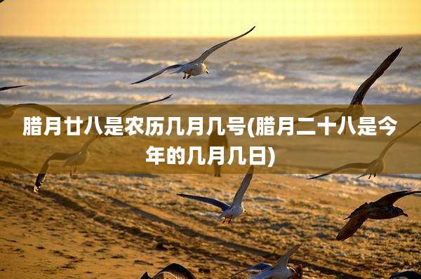 腊月廿八是农历几月几号(腊月二十八是今年的几月几日)
