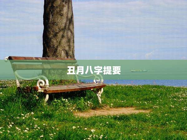 丑月八字提要
