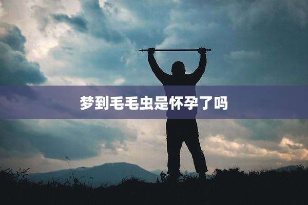 梦到毛毛虫是怀孕了吗