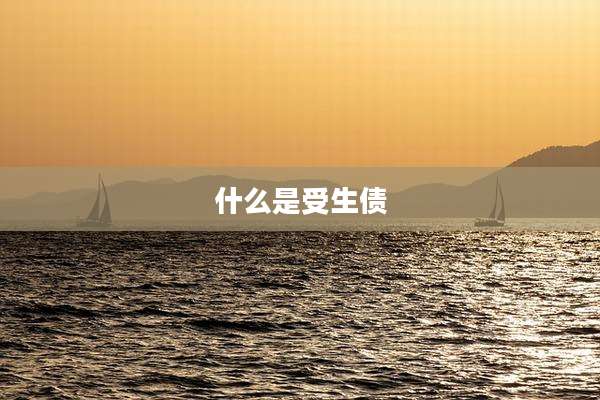 什么是受生债