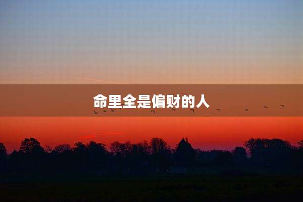 命里全是偏财的人